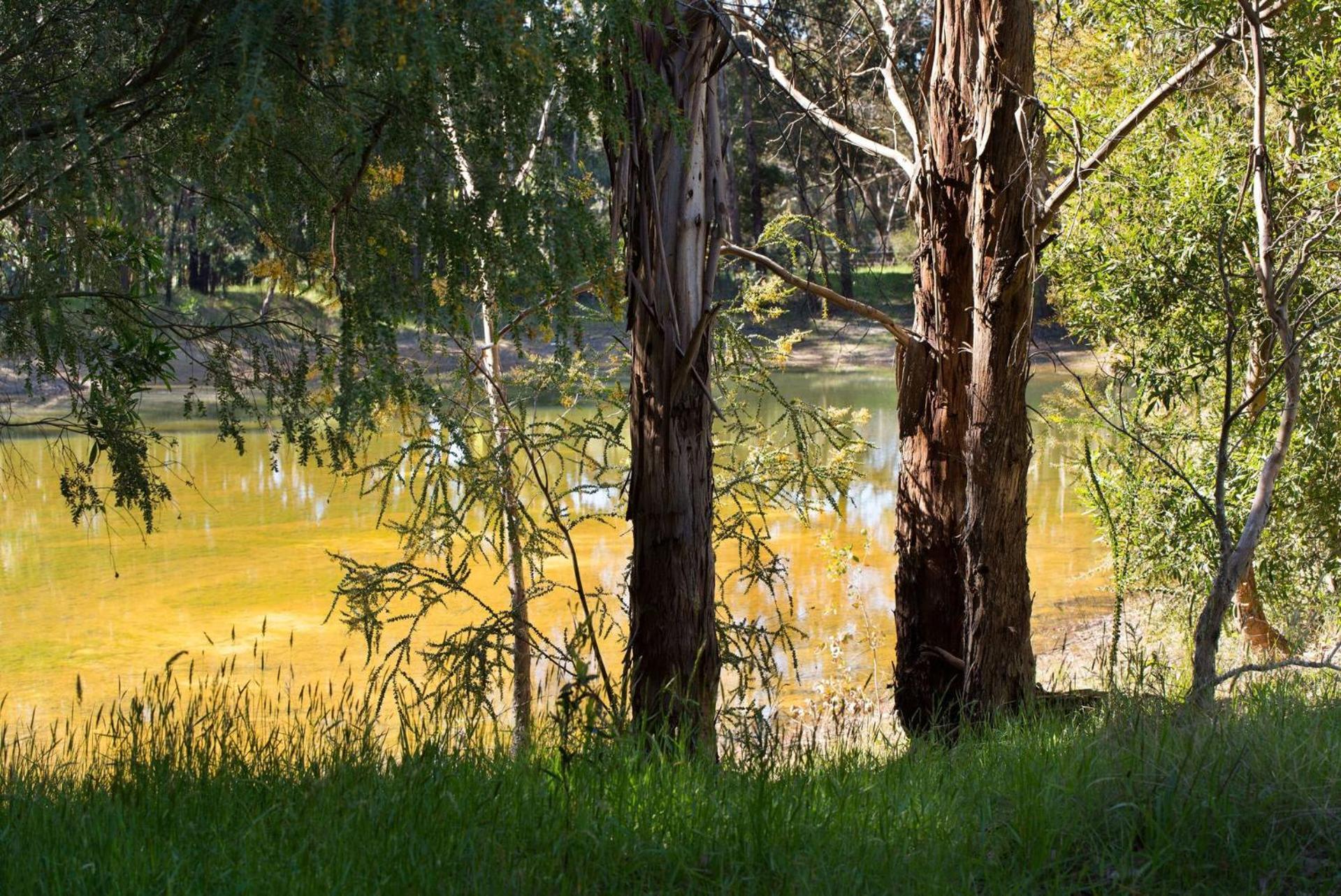 Bodhi Daylesford Villa ภายนอก รูปภาพ