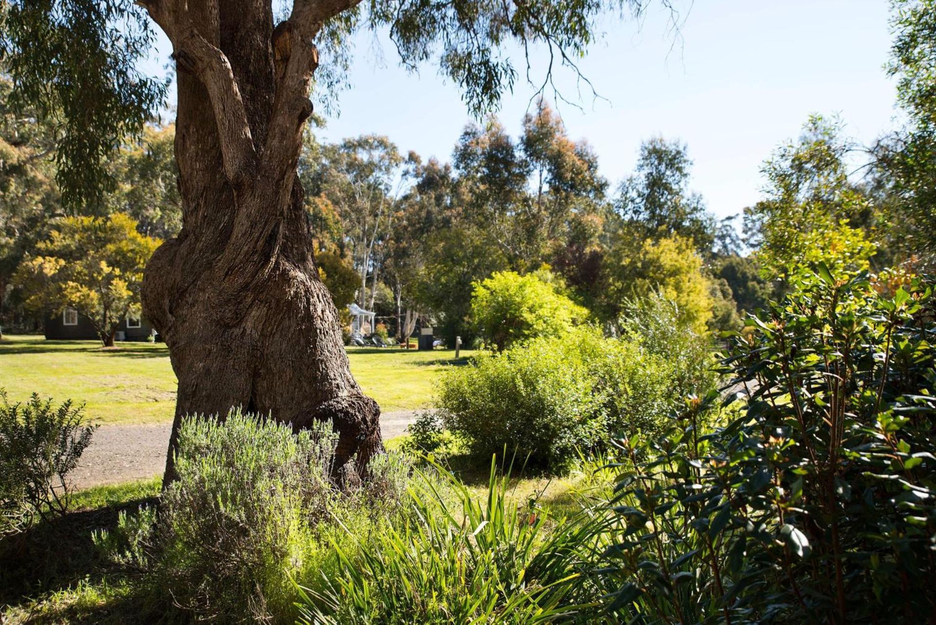 Bodhi Daylesford Villa ภายนอก รูปภาพ